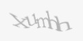 Защитный код