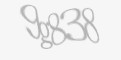 Защитный код